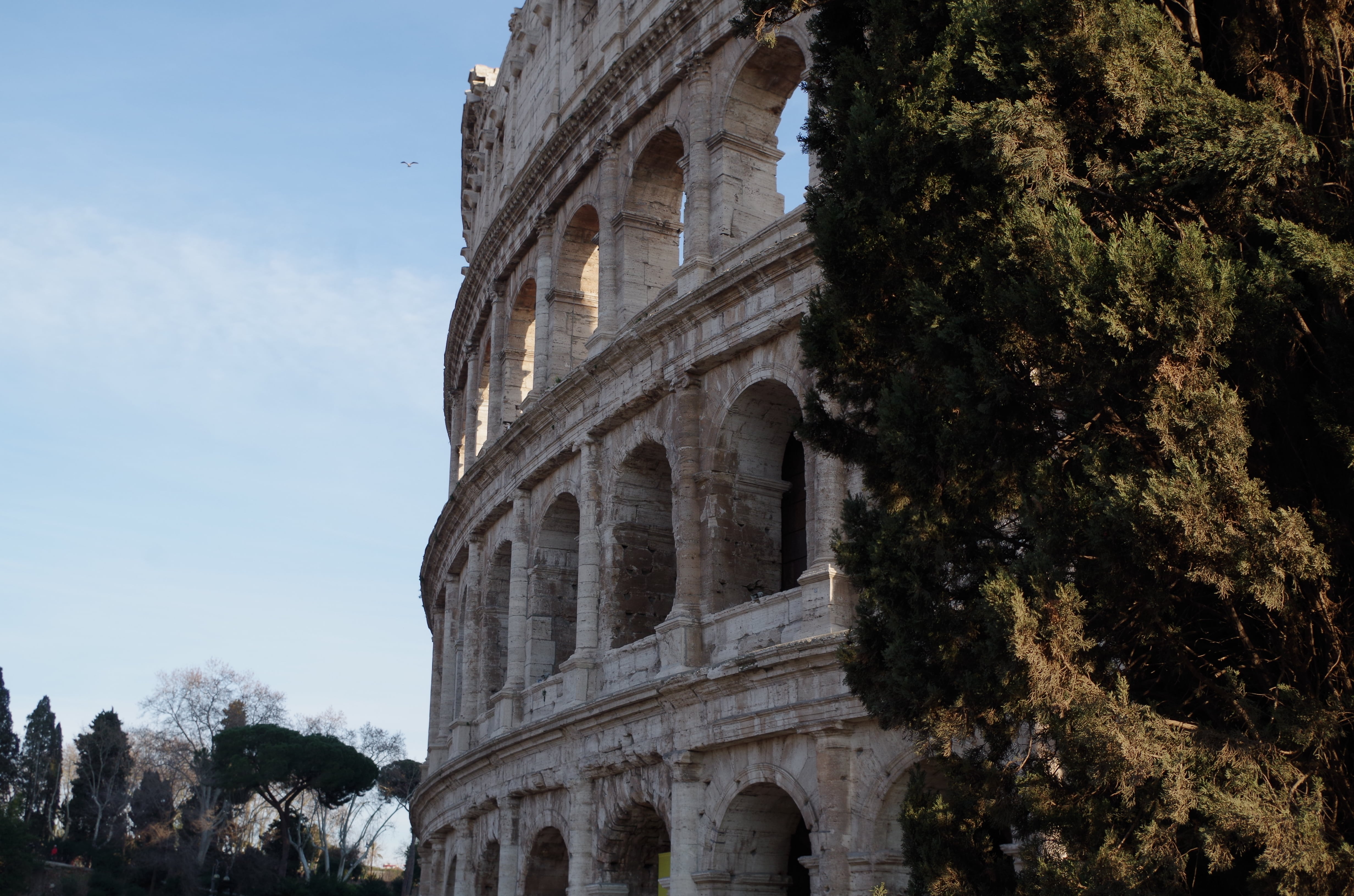 Roma